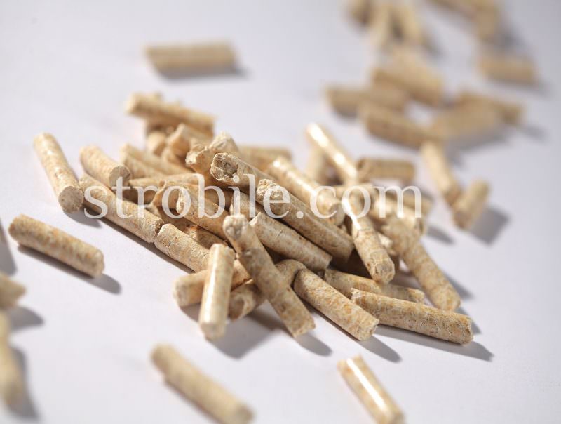 Virgin Wood Pellets Silver Fir are white in color because we use only pure debarked shavings of Silver Fir without additions of any other kind of tree.