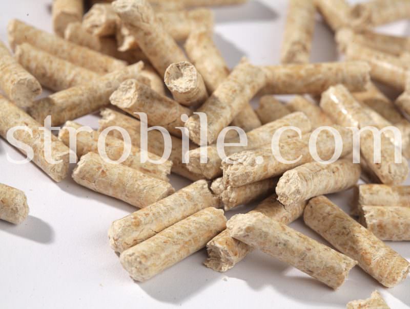 Even though color is not an official criteria of ENplus, we use fresh and dry raw materials so the product has natural look. In the production of Virgin Wood Pellets Silver Fir we refused to use any kinds of additives, including any colorants. The color of the pellet is not evenly distributed along each pellet, which is a proof of natural composition.
